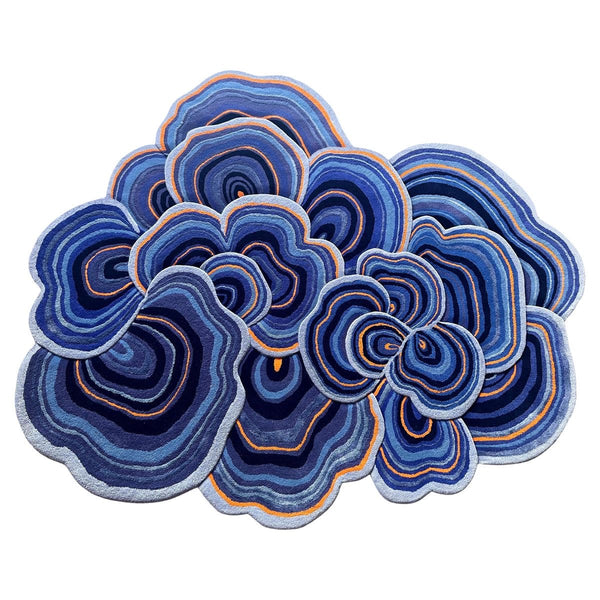Limited Rugs